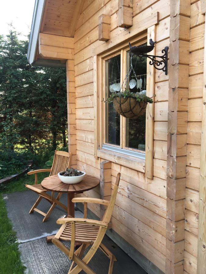 Apartment Chalet Ons Oekje *